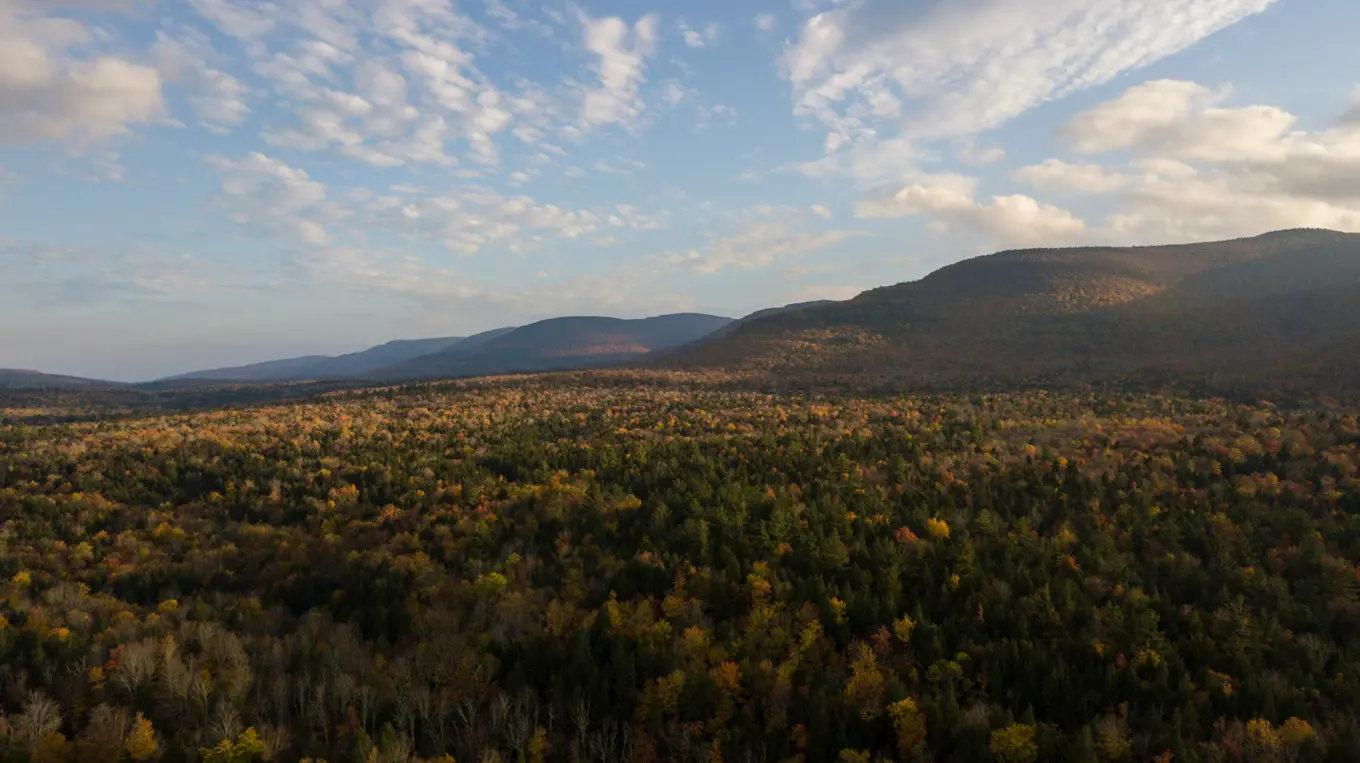 Catskills landscape
